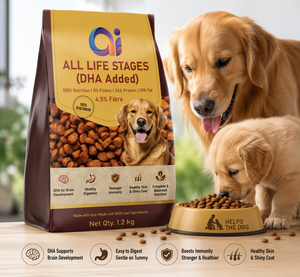 Alimento para Perros con Alto Contenido de Proteínas, Gránulos Premium con Arándanos, Nutrición Diaria Equilibrada, Apoyo Digestivo, para Todas las Razas, Marca Privada OEM ODM - Product Image 6