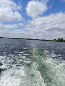 เรกัล อัมบาซัดอร์ 233x-x-l - Product Image 6