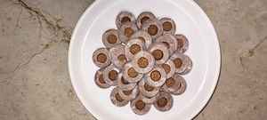 Bloques de Fibra de Coco MDS-Netted Coins de MDS Coco, con Propiedades Antifúngicas, Ecológicos y Biodegradables - Product Image 3