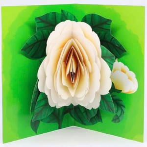 การ์ดป๊อปอัพ 3 มิติ ลายดอกไม้สีขาวหลากสี การ์ดอวยพรทำมือ ของขวัญ การ์ดป๊อปอัพ 3 มิติ ลายดอกไม้ งานฝีมือกระดาษป๊อปอัพ - Product Image 2