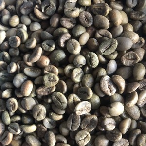Vietnam Robusta Green Coffee <b>Beans</b> Bulk Supply Export Quality Coffee Roasters Worldwide - Product Image 2