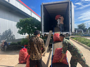 Vietnam <b>Fresh</b> <b>Ginger</b> Farm Direct High Quality Strong Flavor Wholesale Export - Product Image 2