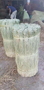 หญ้าทะเลแห้งสีเบจสำหรับสัตว์เลี้ยง วัสดุธรรมชาติ ปลอดภัยสำหรับกระต่าย แฮมสเตอร์ และนก 26 ANGLE - Product Image 4