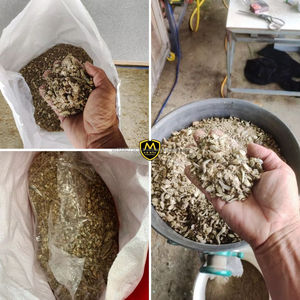 Cabeza de Anchoa Seca de Alta Calidad para Acuicultura y Alimentación Animal - Materia Prima de Desechos de Pescado - Product Image 5