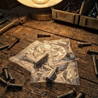 Ralter Torx Bit T25 (MagicRibs) 25mm 1/4 Inch Hex Kepala Obeng Magnetik DIY OEM Baja S2 Finishing Sandblasted Tempa Dengan Tas PP