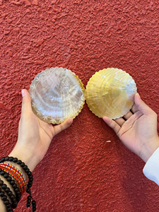 Pearl Of Mother Shell Iridescent Vietnam Material For Handicraft Inlay Furniture Decoration Plate Bulk Supply - Product Image 2