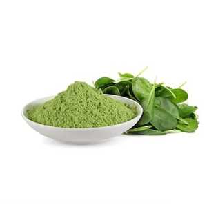 Poudre de spinaux 100% pure, moutonnée finement, poudre de feuilles vertes 100g, fabriquée au Jharkhand - Product Image 2