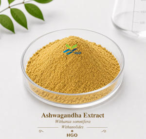 HGO Factory Direct Supply Ashwagandha <b>Extract</b>/ Withania somnifera (Food Grade) Withanolides 2.5% (Standardized <b>Extract</b>) - Product Image 1