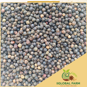 พริกไทยดำแห้งแบบดิบ 100% จากเวียดนาม ยี่ห้อ IIGLOBAL สำหรับผู้ค้าส่งวัตถุดิบอาหาร 550 กรัม/ลิตร 500 กรัม/ลิตร 570 กรัม/ลิตร 630 กรัม/ลิตร - Product Image 2