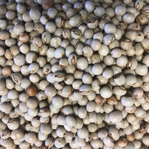 Lentejas Rojas/Verdes/Amarillas Enteras, 100% Naturales y Orgánicas, de la Mejor Calidad, Secas, a Granel, 25 kg, Marca TZ453G, Chana Dal para Uso Alimentario - Product Image 4