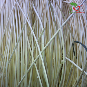 Mejor precio OEM 2,0mm 2,5mm 3,0mm Núcleo de ratán blanqueado Muebles hechos en Vietnam Artesanía Materias primas Agricultura de alta calidad - Product Image 2