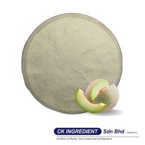 Premium High Quality Honeydew Juice Powder Halal OEM B2B <b>Best</b> Supplier Guarantee Top Sale Refreshing Melon Flavor Beverage Mix - Product Image 2