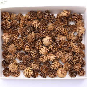 Pignons de pin séchés naturels pour décorations de Noël, artisanat DIY, fabrication de couronnes, vente en gros - Product Image 6