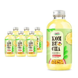 Meilleur Thé Kombucha Scoby Pétillant au Pamplemousse, Boisson Prébiotique en Bouteille de Verre, Fournisseur OEM ODM, Vente en Gros, Thé Fermenté - Product Image 4