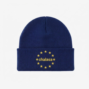 Custom OEM Logo High Quality Unisex 100% <b>Wool</b> Casual Winter Cap Pullover Protection Warm Hat Skull Knitted Sports Ski <b>Beanie</b> - Product Image 2