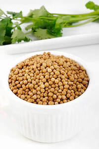 Semillas de Cilantro Indio de Temporada Fresca, Enteras, Calidad Superior, Especia de Exportación - Product Image 5