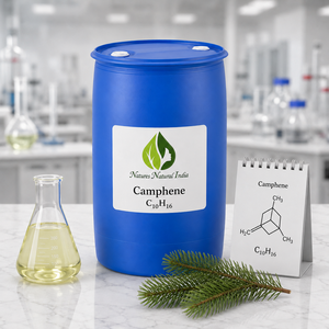 Aceite Esencial de Alcanfor Natural de la India, 100% Puro, Destilado al Vapor, Aroma a Madera de Pino, Para Todo Tipo de Piel - Product Image 2