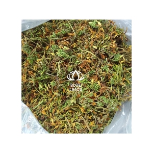 VENTE CHAUDE : Expéditions de fleurs de papaye séchées propres pour les mélanges de boissons créatives et les applications culinaires ethniques authentiques - Product Image 1