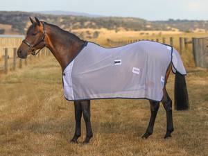 Durable Lightweight Cotton Filled Horse Rug Summer Type with <b>Black</b> Binding Mesh Combo Design - Product Image 2