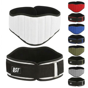 Cinturón de Levantamiento de Pesas, Powerlifting, Culturismo, CrossFit, Longitud Ajustable, Soporte para Sentadillas, Entrenamiento - Product Image 1