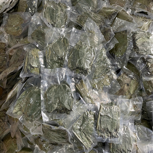 Hojas de guanábana secas de Vietnam para té de hierbas, para mejorar el aroma de las bebidas y crear mezclas únicas de 99 Gold Data - Product Image 5