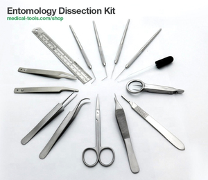 Kit de disección entomológica para estudiantes, herramientas de disección, suministros para insectos y mariposas - Product Image 6