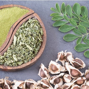 Fournisseur de Graines de Moringa pour la Plantation d'Aliments Sains - Product Image 1