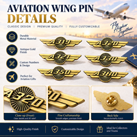 Badges de poitrine uniques et attrayants en métal 3D de haute qualité, thème aviation, ailes doubles, commémoratifs, avec logo personnalisé