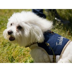 Imbracatura e Guinzaglio Regolabili per Cani, Accessorio Resistente per Animali Domestici - Product Image 5