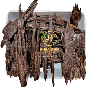 Copeaux de bois d'agarwood Oud sélectionnés collectivement au cœur de l'arbre, résistants aux dommages et offrant un arôme exceptionnel - Product Image 6