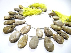 Cuentas de coral fósil natural en forma de pera, lisas y suaves, tipo briolette, en hilo de 8 pulgadas de largo. - Product Image 3