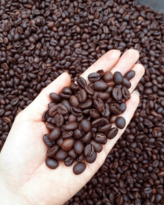 GRANOS DE CAFÉ TOSTADOS DE ALTA CALIDAD DE VIETNAM / ESTÁNDAR DE EXPORTACIÓN - Product Image 3