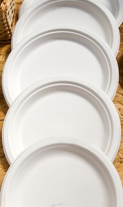 LKS Enterprises Classic 10 Inch White Sugarcane Bagasse Reusable Disposable Plates 100% Eco-Friendly Biodegradable Compostable - Product Image 3