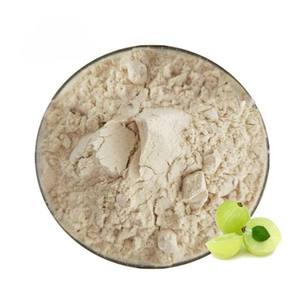Poudre d'Amla de haute qualité, extrait végétal pour les produits de santé à base de plantes, soutien antioxydant, croissance des cheveux et soin de la peau - Product Image 1
