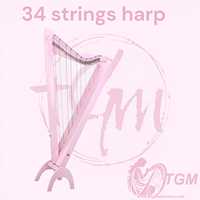 Large Size 36 Strings Lever Harp with Case & Tuning Key Elegant Vintage Style Floral Design Made Musical Instruments Harps