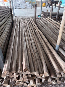 Eucalipto sin corteza de alta demanda para el mercado global de madera - Product Image 2