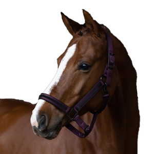 Sunrise Equine Industries - Halteurs pour chevaux en nylon réglables, style corde violette, équipement équestre - Vente en gros d'halteurs pour chevaux - Product Image 1