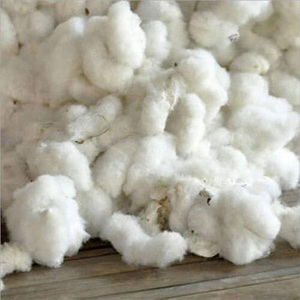 ฝ้ายดิบออร์แกนิกแบบมัดเป็นก้อนสำหรับตลาดระหว่างประเทศ - Product Image 2