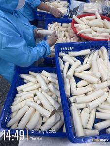 Yuca Blanca Congelada, Trozos de Yuca Pelada Cortados de Raíces Maduras para Aplicaciones Culinarias, Distribución de Exportación y Paquetes para Venta Minorista - Product Image 5