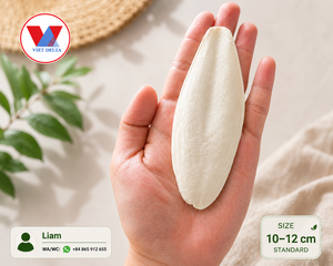 Hueso de Sepia Seco en Blíster y Carpeta, Marca Privada OEM |   Hueso de Sepia |   Sepia Bone [Liam +84 865 912 655] - Product Image 4