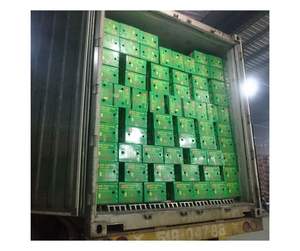 Proveedor de Chips de Pitaya de Calidad de Exportación de Vietnam - Chips de Pitaya Crujientes para Distribución Minorista de Snacks - Product Image 6