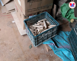 MÁS VENDIDO: Madera de café ecológica para masticar para perros, palo de madera natural de Java para limpieza dental, juguete duradero para mascotas, exportación de Vietnam - Product Image 3