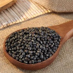 Whole Black <b>Beans</b> High Protein Fiber Rich for Daily Cooking <b>Baking</b> Snacks High Protein Fiber Rich Black Gram Lentils Urad Dal - Product Image 1