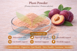 Suministro directo de fábrica HGO de polvo de ciruela natural puro (grado alimenticio) Especificación de polvo de fruta (polvo de fruta o vegetal) - Product Image 5