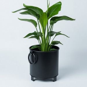 Jardinière cylindrique en métal noir faite à la main sur support avec poignées en anneau, en fer thermolaqué, moderne, pour intérieur et extérieur, 35x35x45cm - Product Image 2