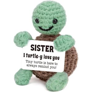 Regali di Compleanno e Natale Turtle Sister: Giocattoli di Peluche - Product Image 1