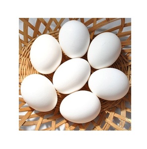 ไข่ไก่สดจากฟาร์ม - คุณภาพสูงและสดใหม่จากฟาร์ม - Product Image 1