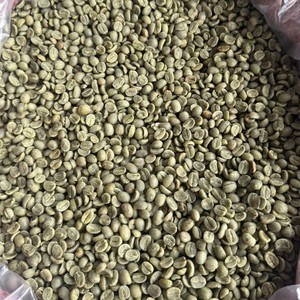 Wholesale Arabica <b>Coffee</b> <b>Beans</b> for Roasting Fully Washed Green <b>Coffee</b> <b>Beans</b> Size 16 Vietnam Highland Farm Supply - Product Image 1
