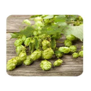 Poudre d'extrait de houblon 60% Xanthohumol séchée par atomisation, extrait végétal naturel de qualité alimentaire - Product Image 6