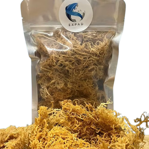 Musgo Irlandés Seco a Granel, Precio al por Mayor, Eucheuma Cottonii Secado al Sol, Musgo Marino Crudo Premium, Envasado al Vacío, de Proveedor Vietnamita - Product Image 1